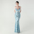 Graceful Sequin Embellished Mesh Mermaid Maxi Dress
